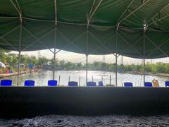 -会江钓鱼钓虾烧烤场