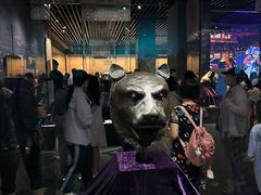 -广西壮族自治区博物馆