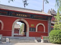 -白洋淀景区