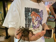 -藦茜花园宠物主题亲子互动体验馆(国顺东路店)