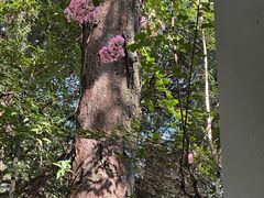 -狼山风景名胜区