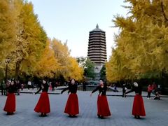 -玲珑塔公园