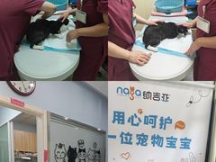-纳吉亚猫专科动物医院博雅分院