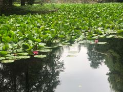 -安徽大学(龙河校区)