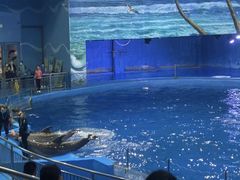 -多彩贵州城极地海洋世界