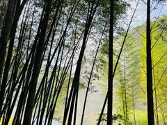 -千泷沟大瀑布旅游区