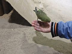 -嘉兴海底世界