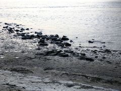 -幕燕滨江·燕子矶公园