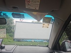 -枫花园汽车电影院(朝阳公园店)