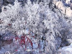 -崂山巨峰游览区