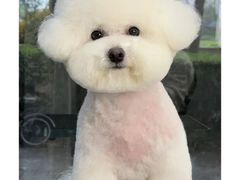 -瑞派康怡24h宠物医院·犬猫医疗中心·微创绝育(瑞景分院)