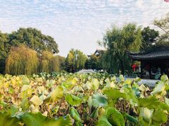 -丝绸小镇荻港古村