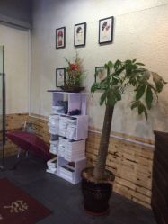 -镁连社·美联社