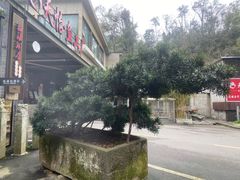 -天怡·鱼工厂(梅溪湖店)