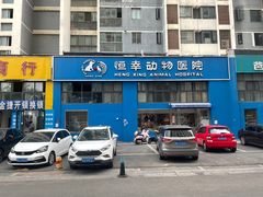 -恒幸动物医院·急重症转诊中心·神经内外科·CT核磁