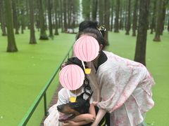 -渌洋湖湿地公园
