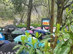 -韶山毛泽东同志故居