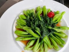 -宋宴(虎跑店)