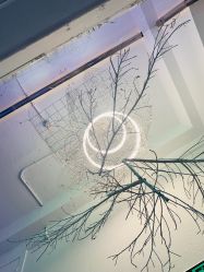-肌理言健康美肌驻颜所