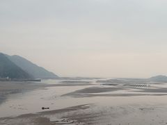 -北岐滩涂