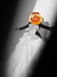 -金夫人婚纱摄影(总店)