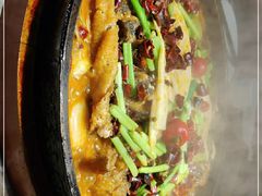 -老板恋上鱼(恒隆广场店)