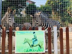 -泉州海丝野生动物世界