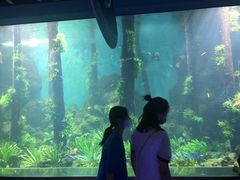 -石家庄海洋公园