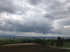 -富田农场