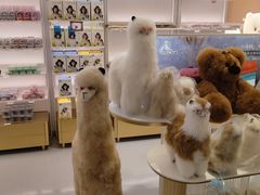 -国药中服免税(北京坊店)