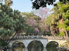 -柳侯公园
