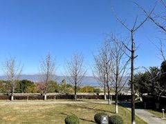-大理实力希尔顿酒店•香全日制餐厅