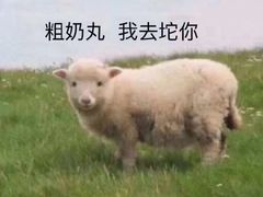 -锅来乐地锅鸡(安亭店)