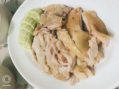 -鸡饭店