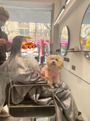-卓梵美发·精品Salon