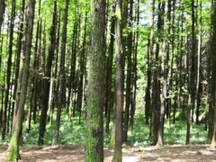 -山王坪喀斯特国家生态公园