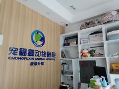 -宠福鑫康馨动物医院·骨科·眼科