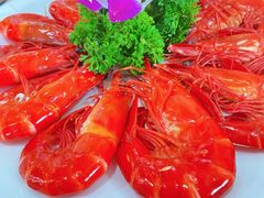 白灼九节虾-蚝专家(北滘店)