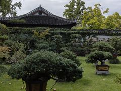 -水绘园