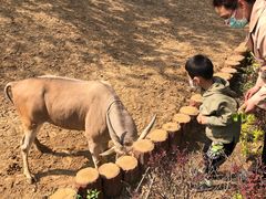 -石家庄市动物园