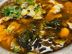 -金陵杨胖子·砂锅麻辣烫(金轮新天地店)