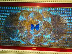 -上海昆虫博物馆