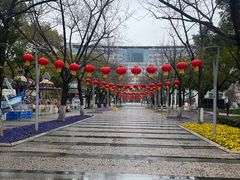 -青枫公园
