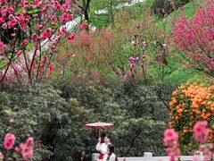 -桃花涧