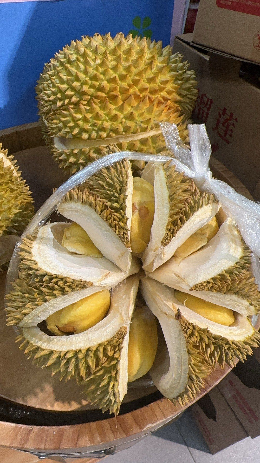 blt周正的甲仑榴莲!