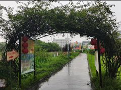 -仙湖旅游度假区