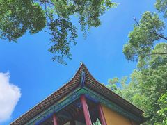 -大赤坎肥仔强烧味海鲜餐厅(大赤坎店)