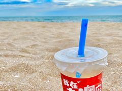 -南澳岛打卡果汁冰公司