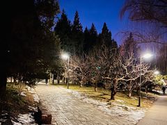 -元大都城垣遗址公园