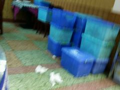 android_upload_pic-白家寨子·山野白族菜(古城总店)